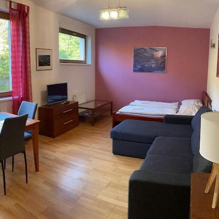Studio Apartment Michael Špindlerŭv Mlýn Exterior foto